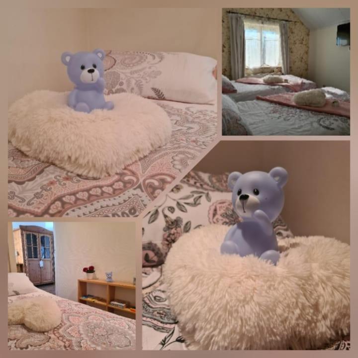 Bed and Breakfast La Rose à NeerNeerpelt Extérieur photo