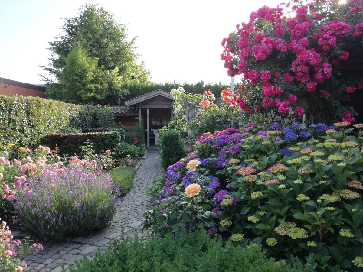 Bed and Breakfast La Rose à NeerNeerpelt Extérieur photo