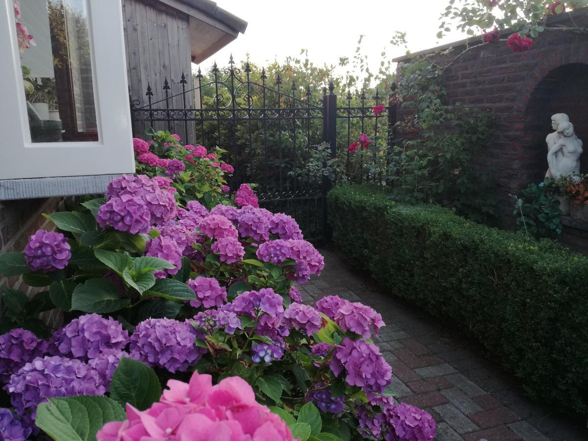 Bed and Breakfast La Rose à NeerNeerpelt Extérieur photo